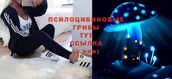 МДПВ Верея