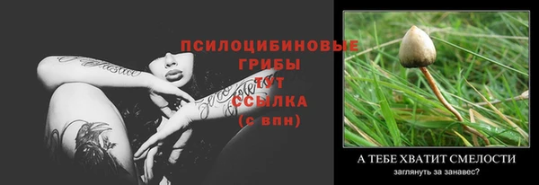 МДПВ Верея