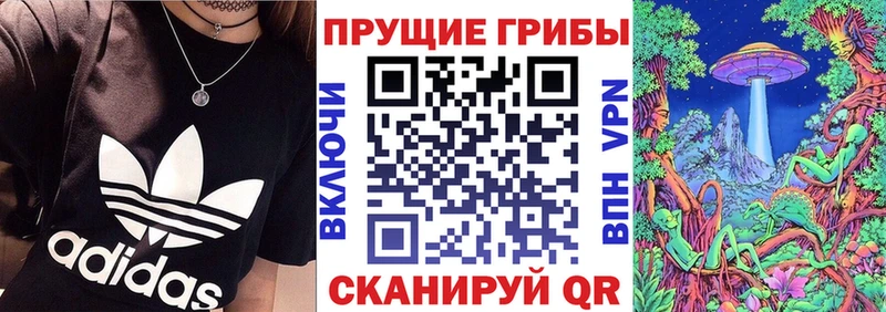 Галлюциногенные грибы GOLDEN TEACHER закладки Гурьевск